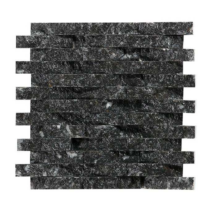 MSC-024